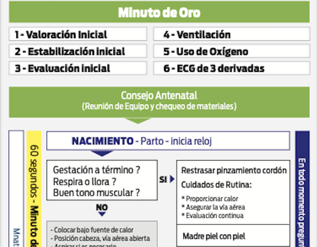 Algoritmo de resucitación en recién nacidos.